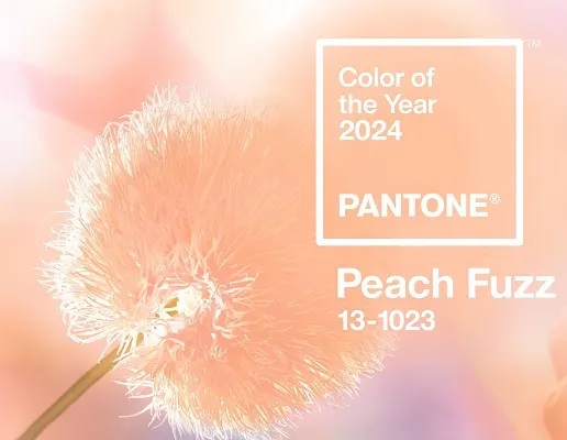 peach fuzz pantone 2024